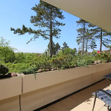 Summer Wine - Direkt Hinter Dem Seedeich *